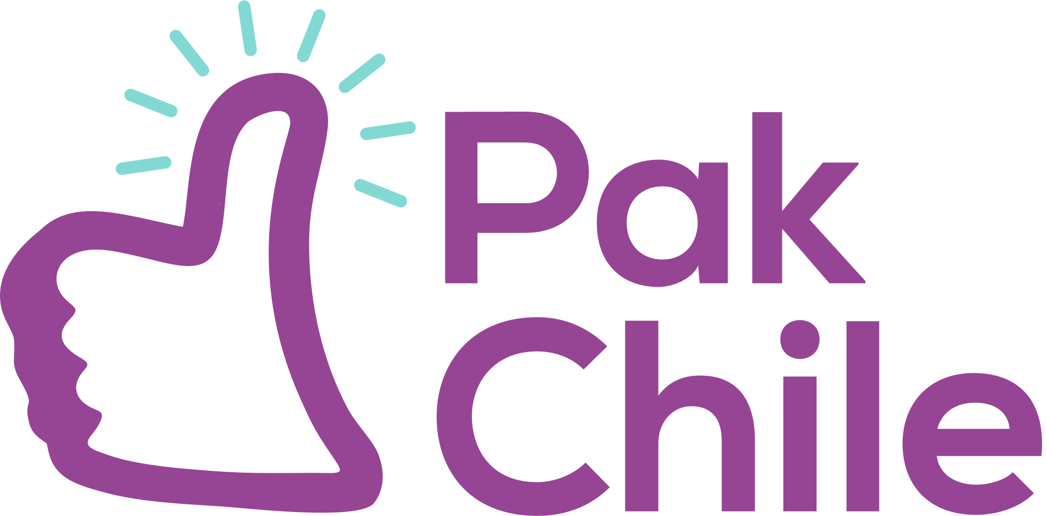 PakChile Logo